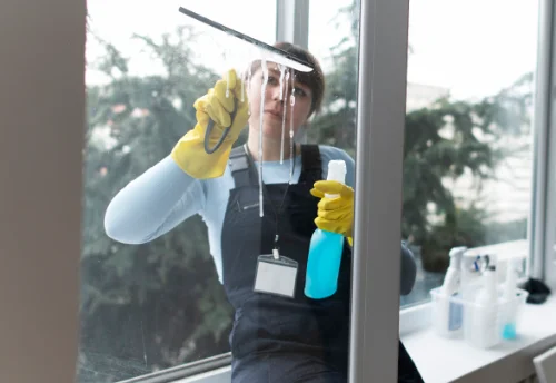 Nettoyage de vitres intérieures et extérieures à Équevillon